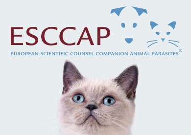 ESCCAP